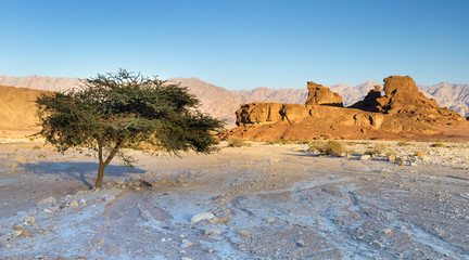 Sunset in Timna Park, it is located 25 km north of Eilat, combines beautiful scenery with antiquities, ancient history, unique geology and variety of sport and family activities