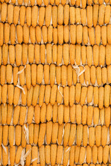 Dried corn