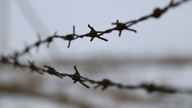 Barbed wire fence, wire sways in the wind
