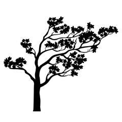 Tree sakura silhouette. Vector illustration.