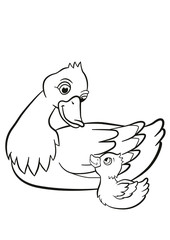 Coloring pages. Kind duck and little cute duckling swim on the pond.