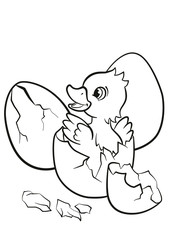 Coloring pages. Little cute duckling hatched from the egg. It`s smiling and happy.