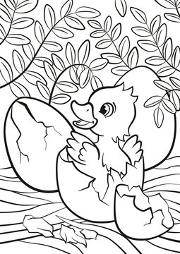 Coloring pages. Little cute duckling hatched from the egg. It`s smiling and happy.