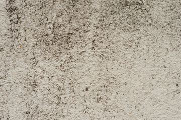 Wall fragment with attritions and cracks