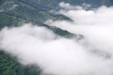 雲海