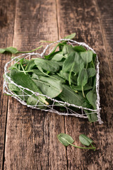 Fresh organic sorrel on table. healthy food