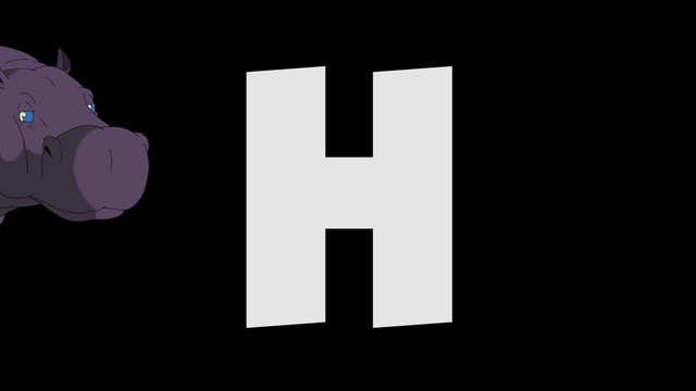 Letter H and Hippo (background)
Animated animal alphabet. HD footage with alpha channel. Animal in a background of letter.