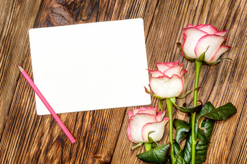 Greeting card. Roses with pink pencil and blank card