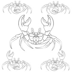 Set of vector crabs illustrations. Isolated objects.