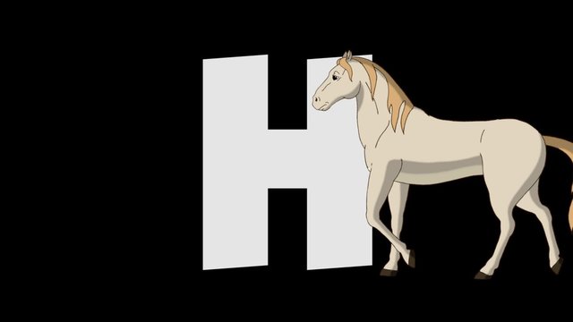 Letter H and Horse (foreground)
Animated animal alphabet. HD footage with alpha channel. Animal in a foreground of letter.