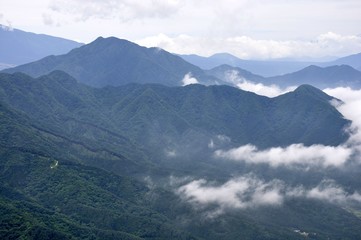 Fototapeta premium 今倉山の松山から望む杓子山