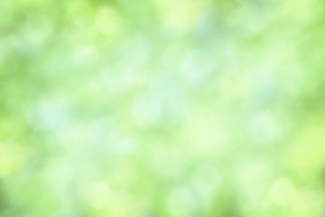 Fresh green background Bokeh