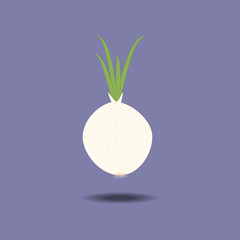 White onion with fresh green sprout
