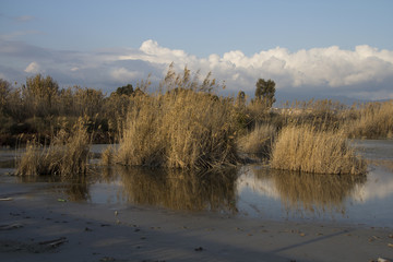 Panorama delle saline di Quartu S.E. - Sardegna