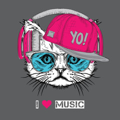 Naklejka premium The image of the cat in the glasses, headphones and in hip-hop hat. Vector illustration.