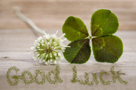 four-leaf clover with flower and text good Luck on wooden backgr