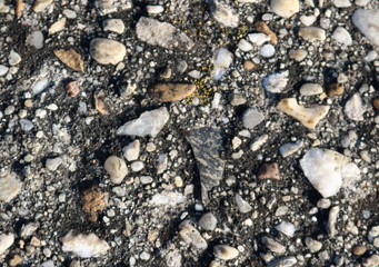 stones background