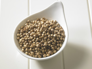 coriander