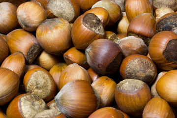 Hazelnut in shell as background