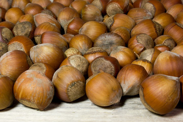 Hazelnut in shell on wooden background