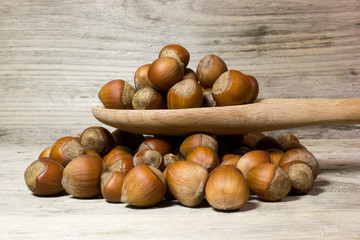 Hazelnut in shell and wooden spoon on wooden background