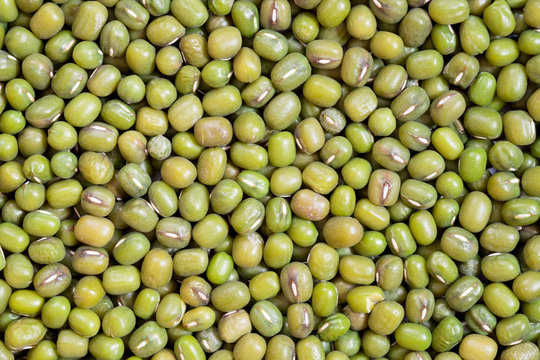 Mung bean or green gram texture background.