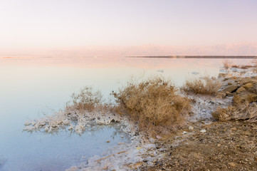Dead sea landscape with minehral structures and bush on the shore  at sunset