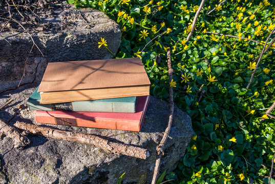 Old books in nature.
