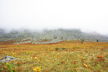 Mountains in the clouds
