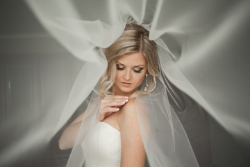 Portrait of beautiful bride with fashion veil at wedding morning. Wedding dress.