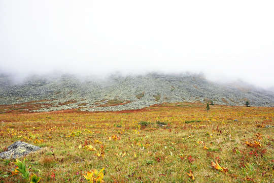 Mountains in the clouds
