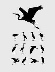 Obraz premium Czapla i bocian sylwetki ptaków, projekt wektor sztuki