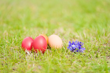 Fototapeta na wymiar Easter egg and violet flower in the green grass