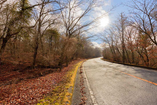 8 Best 雨上がりの道路 Images Stock Photos Vectors Adobe Stock