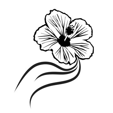 Vector silhouette of flower.