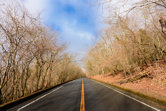 8 Best 雨上がりの道路 Images Stock Photos Vectors Adobe Stock