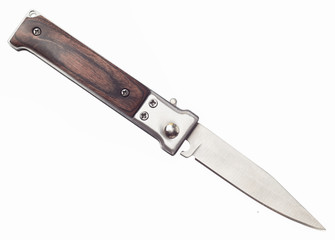 Penknife with the wooden handle