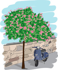 Scooter near a tree, vector illustration - 105914951
