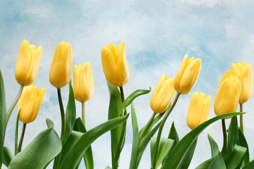 Fototapeta premium Fresh tulips background. Mothers Day, Easter