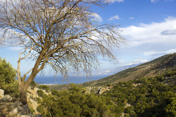 Lato, ancient city on the island of Crete, view of the sea © Mira Drozdowski
