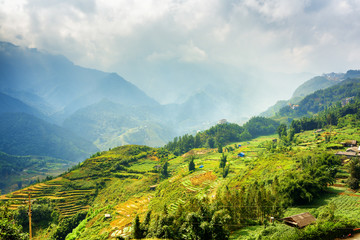 Naklejka premium Beautiful view of rice terraces at highlands, Sapa, Vietnam