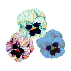 Pansy flower vector clipart. Element for design, sticker, poster