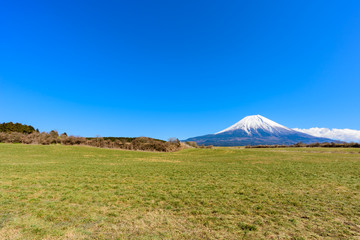 草原の向こうに見える富士山