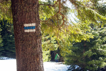 Tourist  trail sign  on the tree