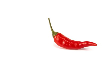 Chili pepper on a white background.