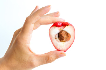 A rose apple, cut in half, held in the hand of a young woman, isolated on white.