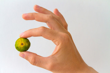 Nasnaran Mandarin, also known as jeruk sambal, held in the hand of a young woman, isolated on white.