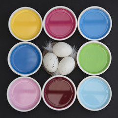 A nest in the colors