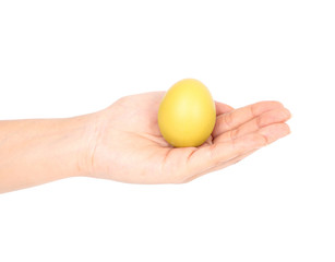 easter egg in hand