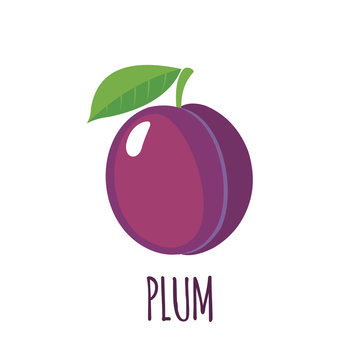 Plum icon in flat style on white background
